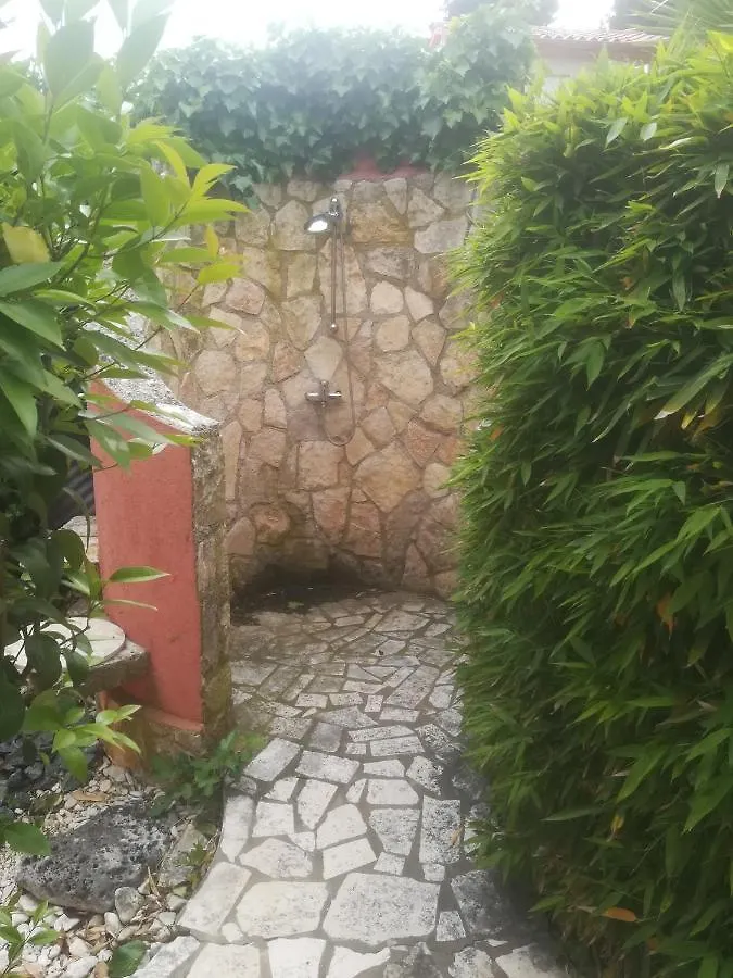 Villa Edward Premantura