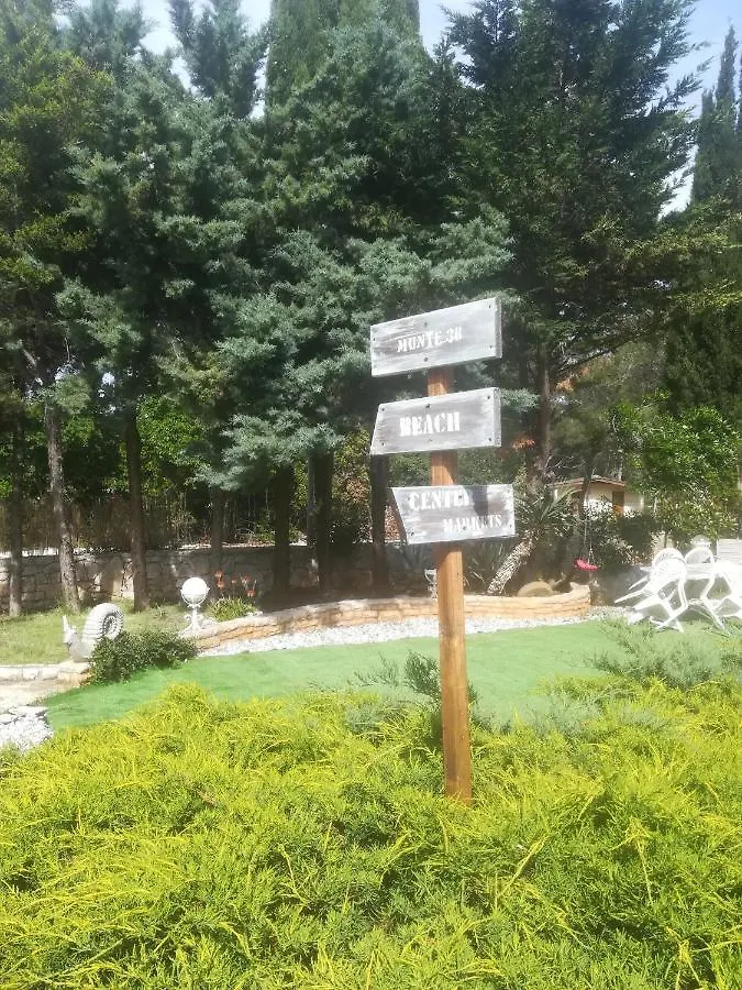 Villa Edward Premantura 0*,
